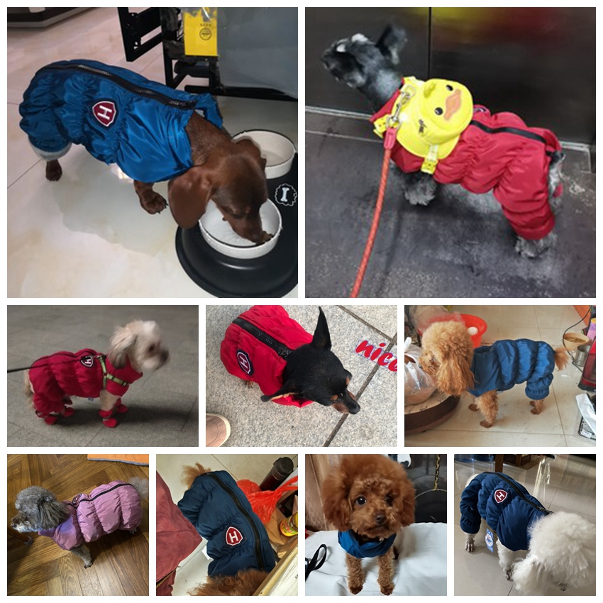 Zipper Snow Unisex Dog Waterpr - Baby Clothing Winter 评论和价格
